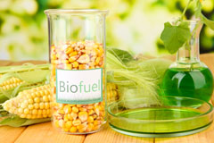 Key Green biofuel availability
